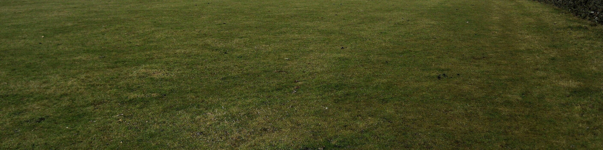 Field North of Burton in Lonsdale A footpath runs through the centre of this field from Burton in Lonsdale en route for Ireby.