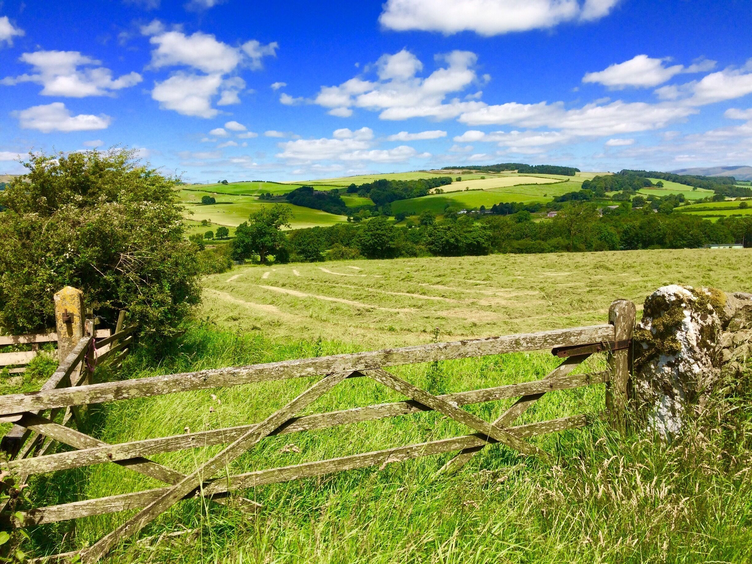 Make hay while the sun shines!