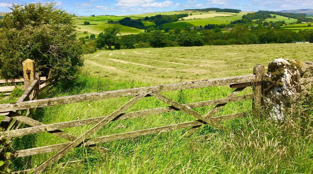 Make hay while the sun shines!