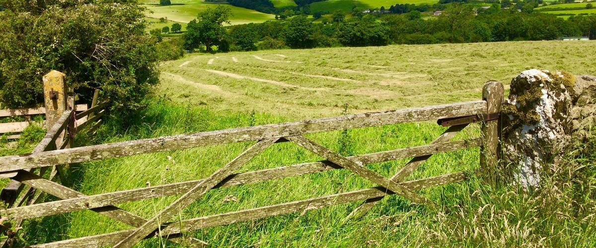 Make hay while the sun shines!