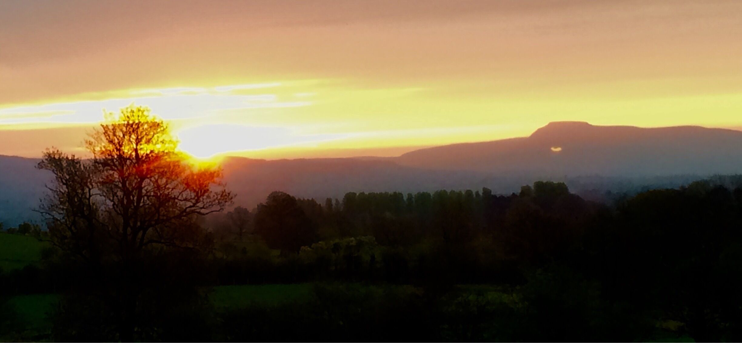 A sunset over a hilly landscape with a prominent tree silhouette and distant mountains.