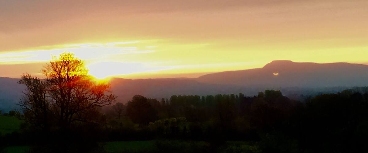 A sunset over a hilly landscape with a prominent tree silhouette and distant mountains.