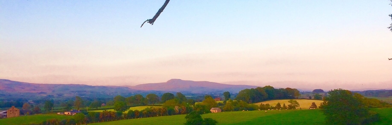 Summer evening, looking up the Lune valley to Ingleborough.