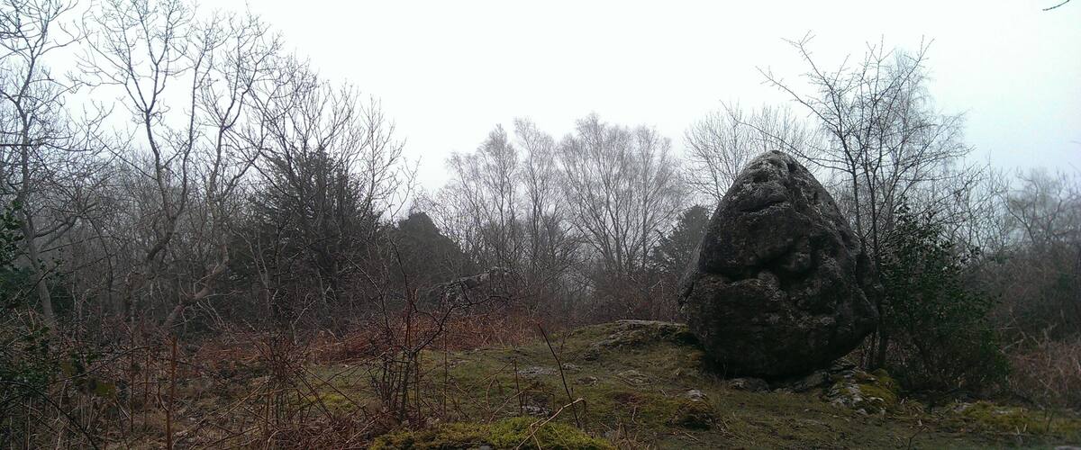 A forest with a large rock formation and leafless trees.
