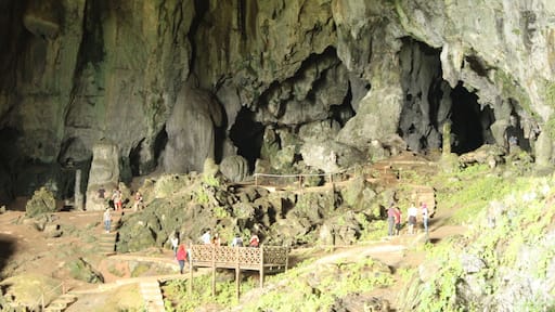 With just 30 minutes drive from Kuching town, you will be amazed with what nature has to offer