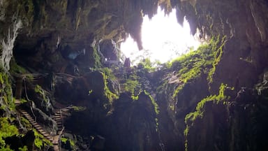 A cave with a bright opening, moss-covered walls, and a staircase leading down.
