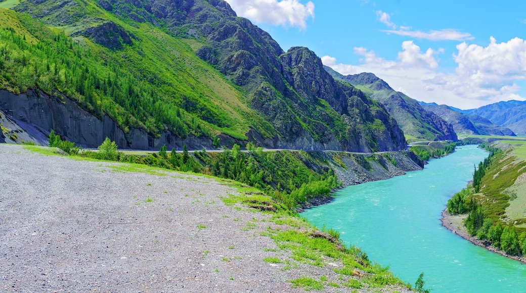 ์จ๊ตฌ๋ค์ด