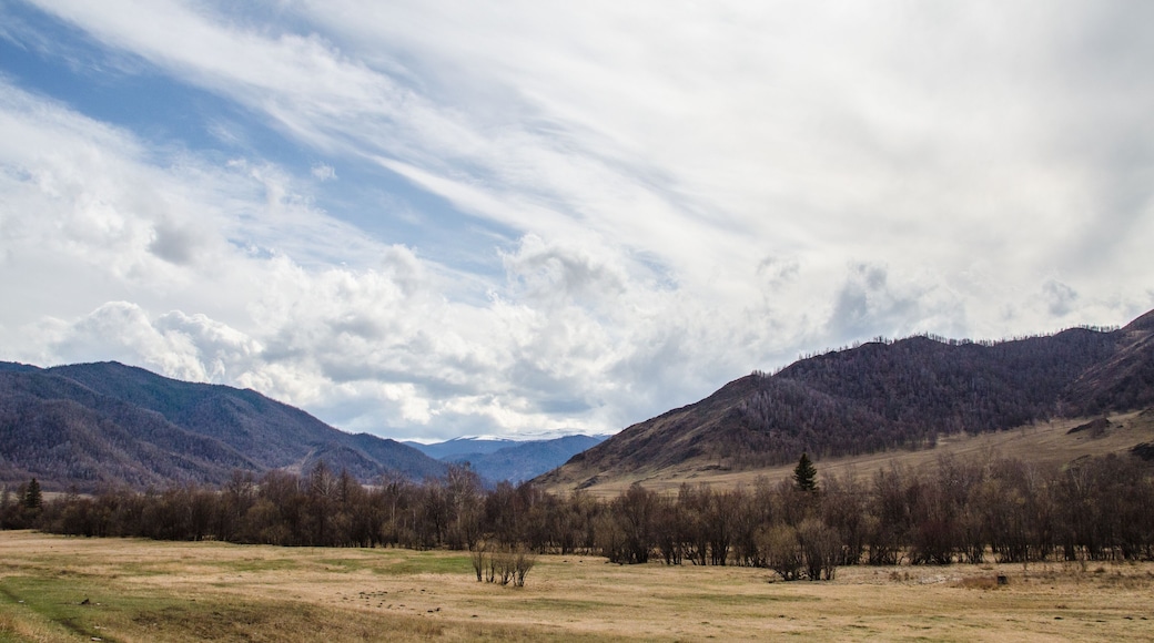 ์จ๊ตฌ๋ค์ด