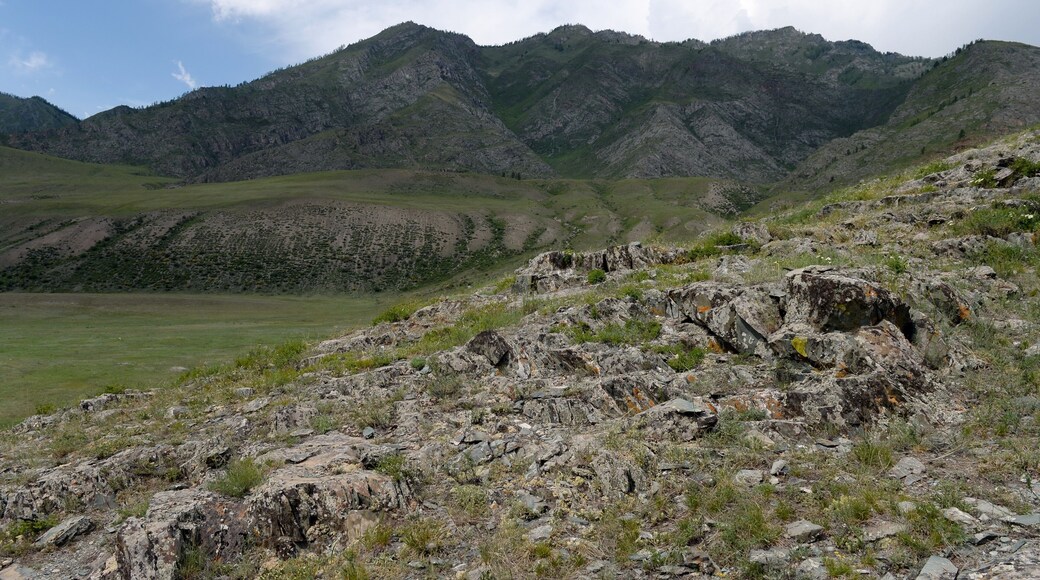 ์จ๊ตฌ๋ค์ด