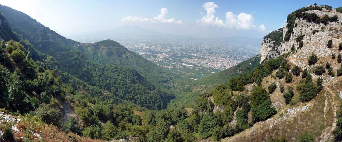 A mountainous landscape with dense forests, a winding path, and a distant cityscape.
