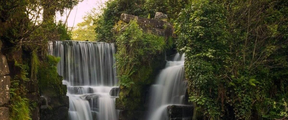 A waterfall cascading over rocks in a forested area.