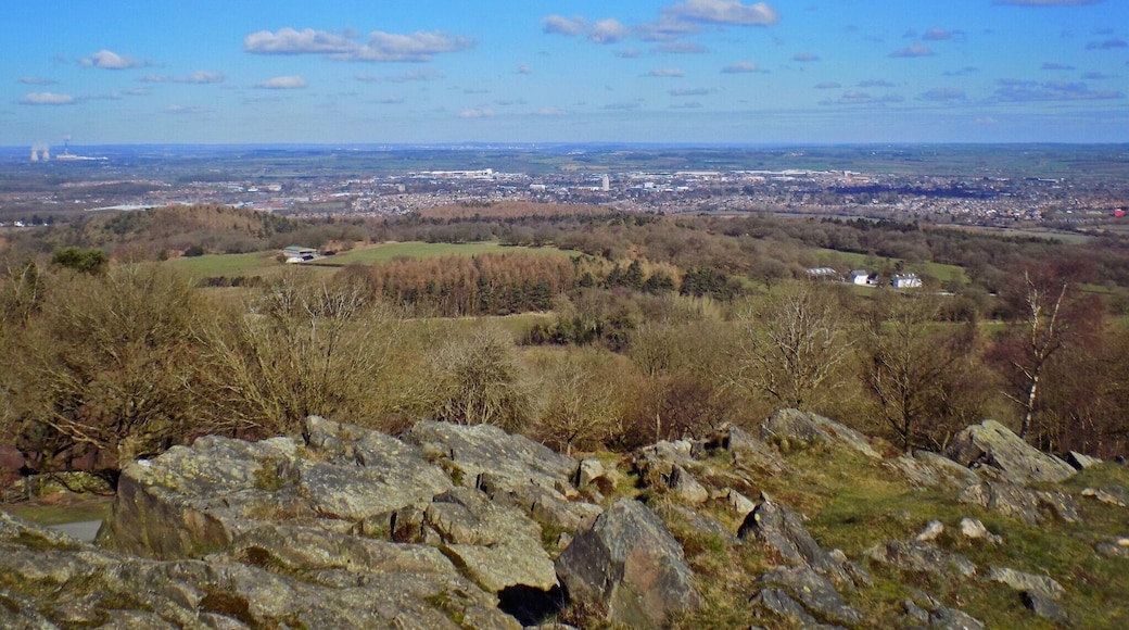 Taken at Beacon Hill, Leicestershire, UK.
#UK #England #Midlands #Leicestershire #NationalForest #Outdoors #TheGreatOutdoors #Nature #MotherNature #Exploring #Walking #Adventure #View #LookOut