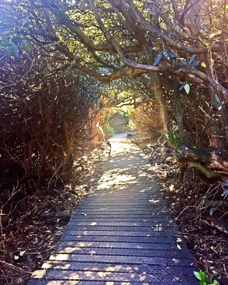 Taken at Beacon Hill, Leicestershire, UK.
#UK #England #Midlands #Leicestershire #NationalForest #Outdoors #TheGreatOutdoors #Nature #MotherNature #Exploring #Walking #Adventure #Woodland #Labyrinth 