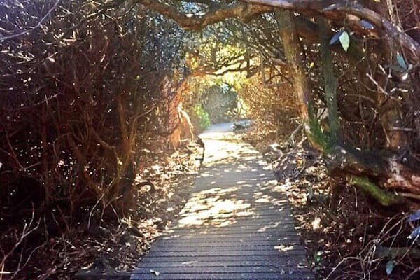 Taken at Beacon Hill, Leicestershire, UK.
#UK #England #Midlands #Leicestershire #NationalForest #Outdoors #TheGreatOutdoors #Nature #MotherNature #Exploring #Walking #Adventure #Woodland #Labyrinth