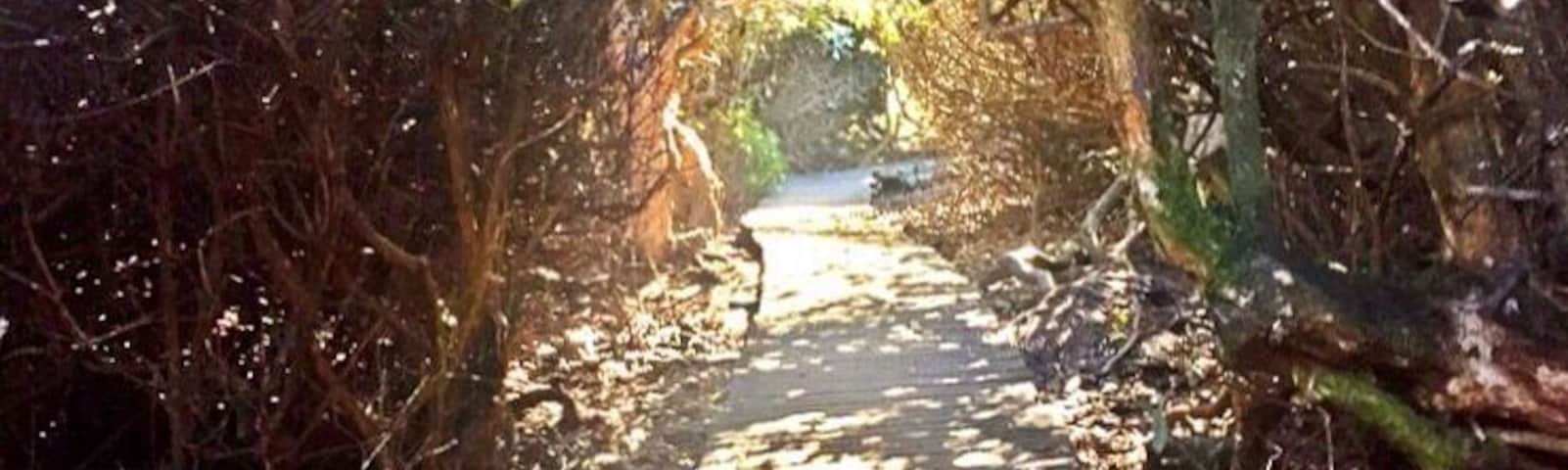 Taken at Beacon Hill, Leicestershire, UK.
#UK #England #Midlands #Leicestershire #NationalForest #Outdoors #TheGreatOutdoors #Nature #MotherNature #Exploring #Walking #Adventure #Woodland #Labyrinth