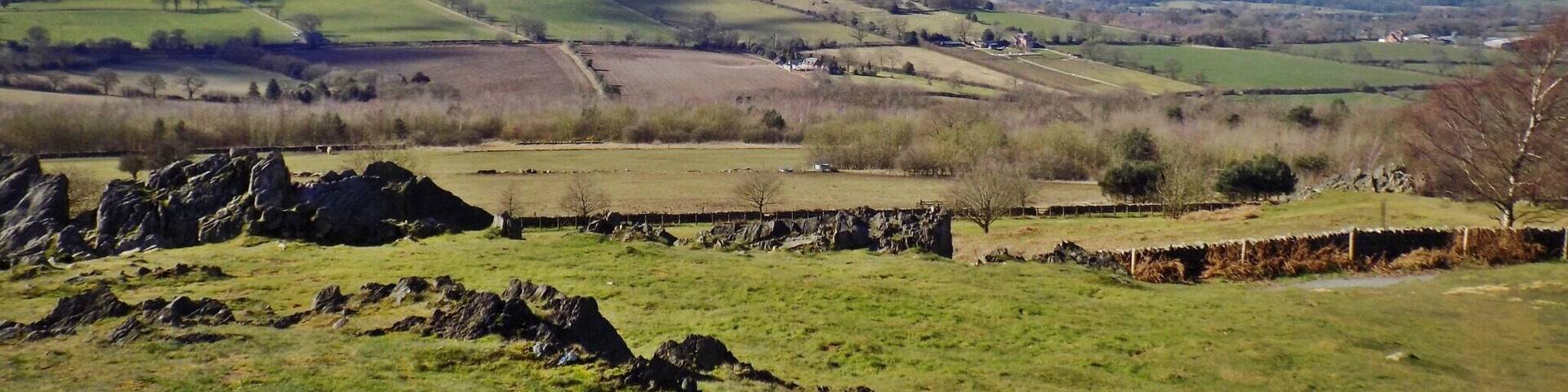 Taken at Beacon Hill, Leicestershire, UK.
#UK #England #Midlands #Leicestershire #NationalForest #Outdoors #TheGreatOutdoors #Nature #MotherNature #Exploring #Walking #Adventure #View #LookOut