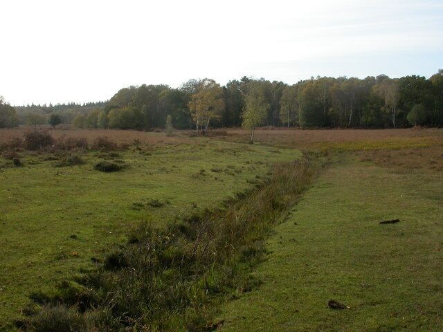 Stream, White Moor, New Forest Becomes wetter as you progress! The yellow-green patch right mid-ground is bog myrtle, which has of course gone over. One or two bell heather flowers remain; a few boletus fungi are fruiting on the grassland next to the stream.