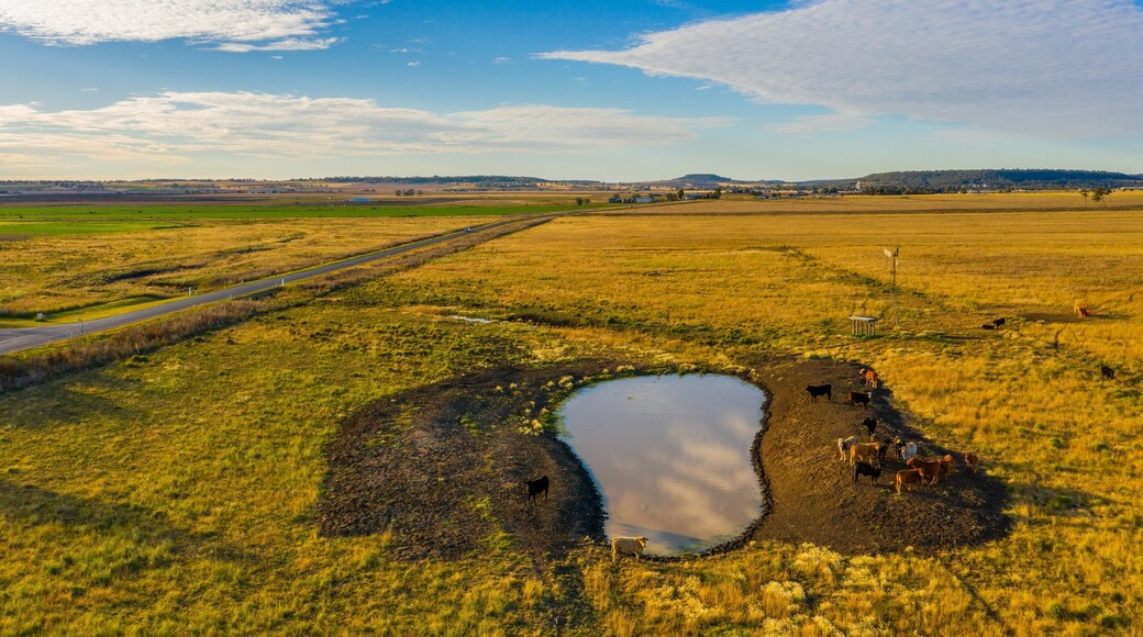 Allora which includes farmland