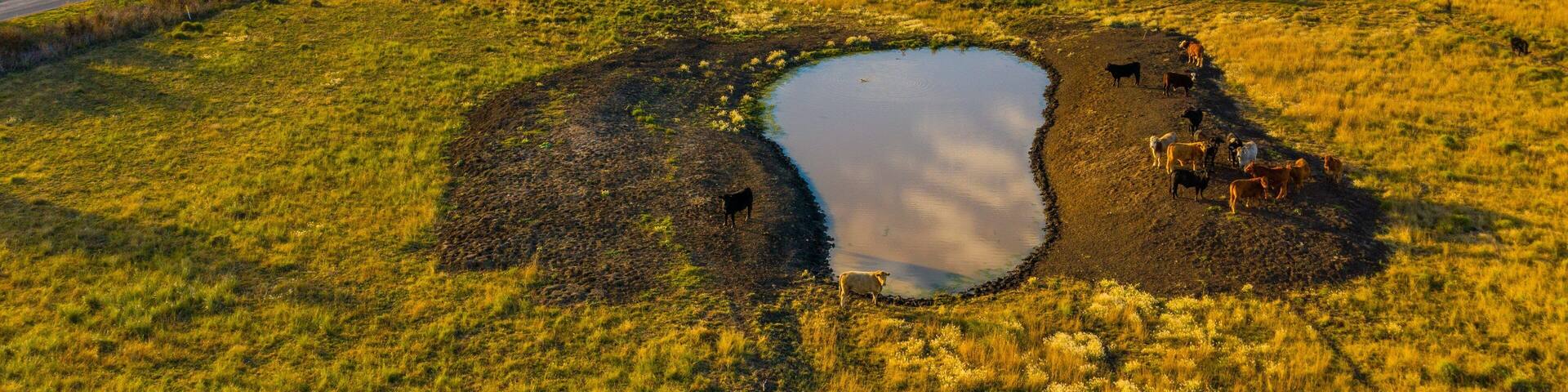 Allora which includes farmland