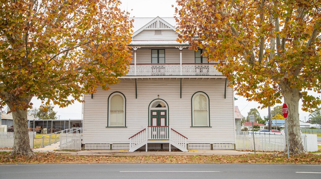 Allora showing a church or cathedral