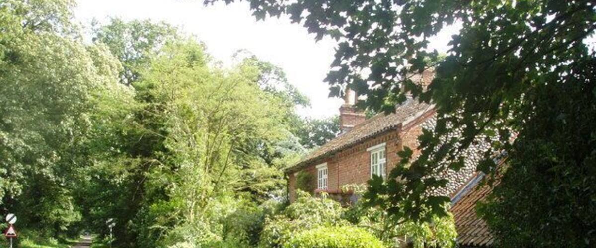 A narrow rural road flanked by lush greenery and traditional brick houses.