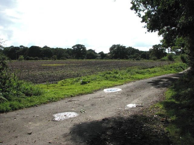 View across Gallowhill Lane The woodland seen in the background is Dogkennel Wood.
