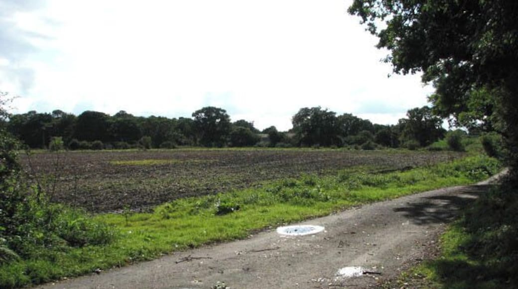 View across Gallowhill Lane The woodland seen in the background is Dogkennel Wood.