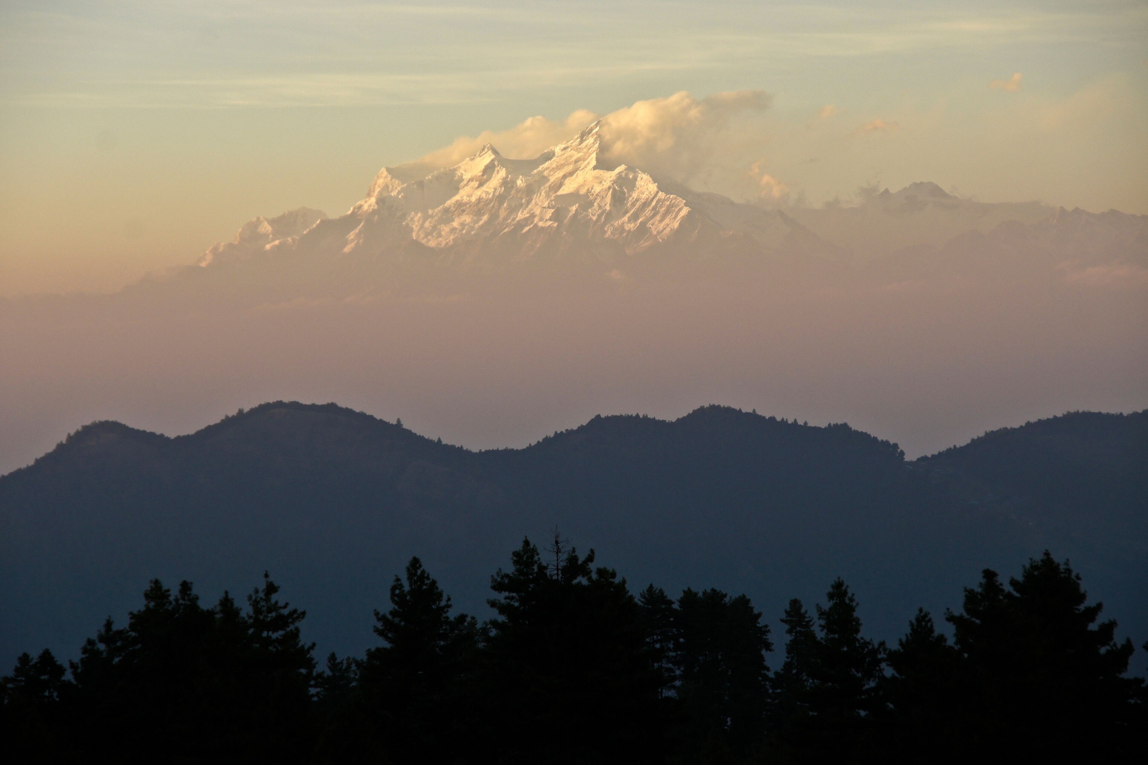 A mountain range with snow-capped peaks and a forested foreground.