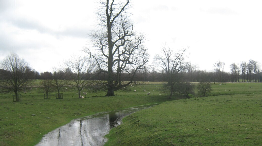 River Nailbourne feeder stream - looking towards the spring. As seen from 1776736. This stream comes from a spring in Bourne House land and feeds into the River Nailbourne.