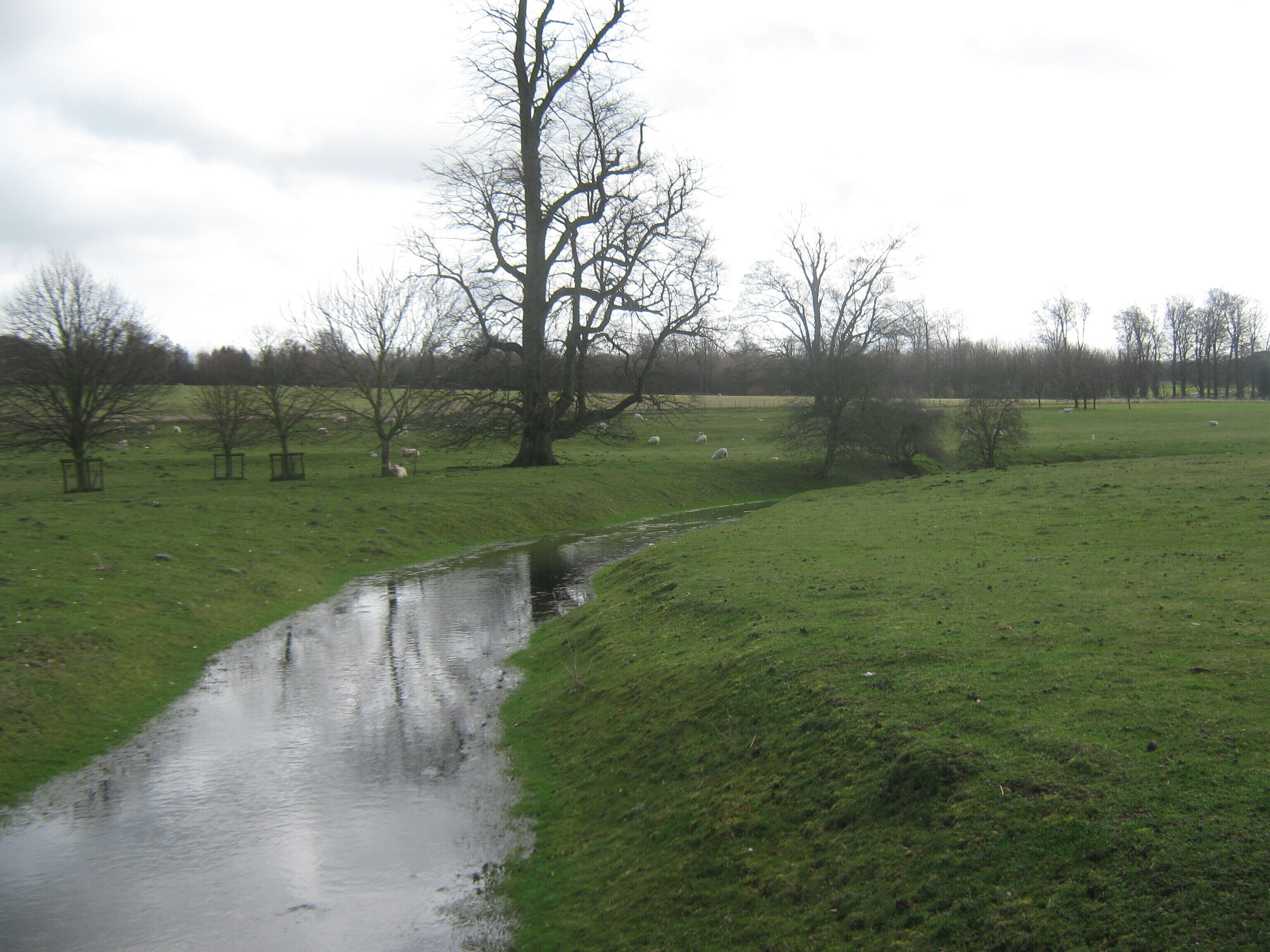 A rural landscape with a stream, grassy fields, and leafless trees.