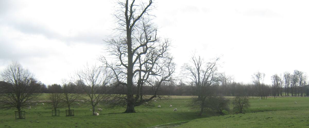 A rural landscape with a stream, grassy fields, and leafless trees.
