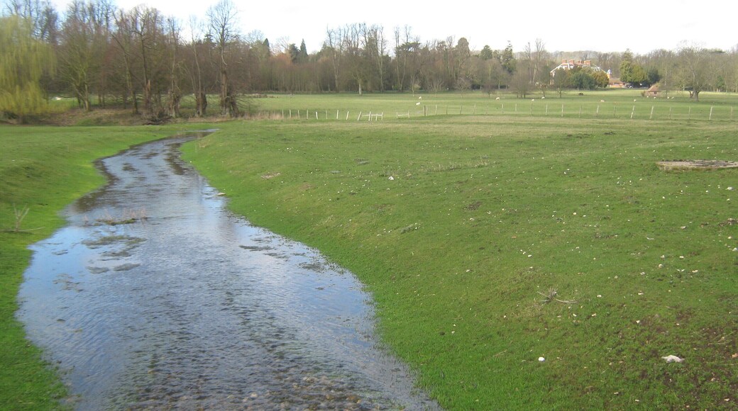 Feeder stream to River Nailbourne. Seen from 1776736. This stream leads from a spring in Bourne House land and feeds into the River Nailbourne heading towards the House (seen in the background on the right).