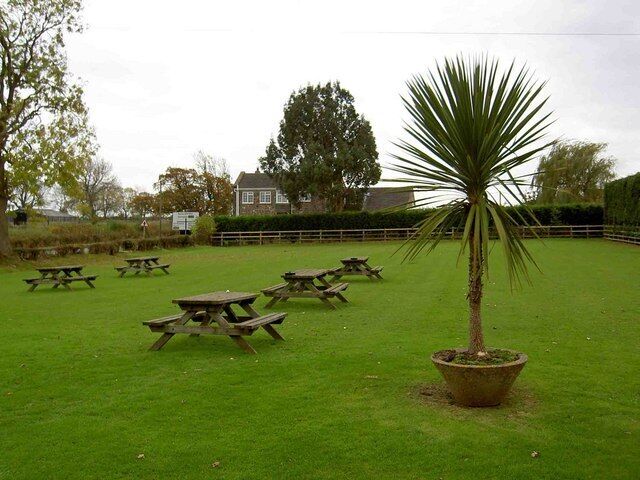 Chequers Inn beer-garden and palm tree in 'tropical' North Yorkshire Busy pub and hotel Bishop Thornton North of Harrogate.
