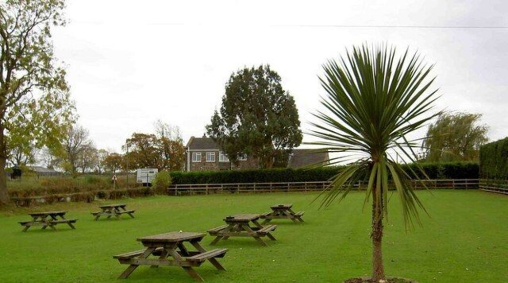 Chequers Inn beer-garden and palm tree in 'tropical' North Yorkshire Busy pub and hotel Bishop Thornton North of Harrogate.