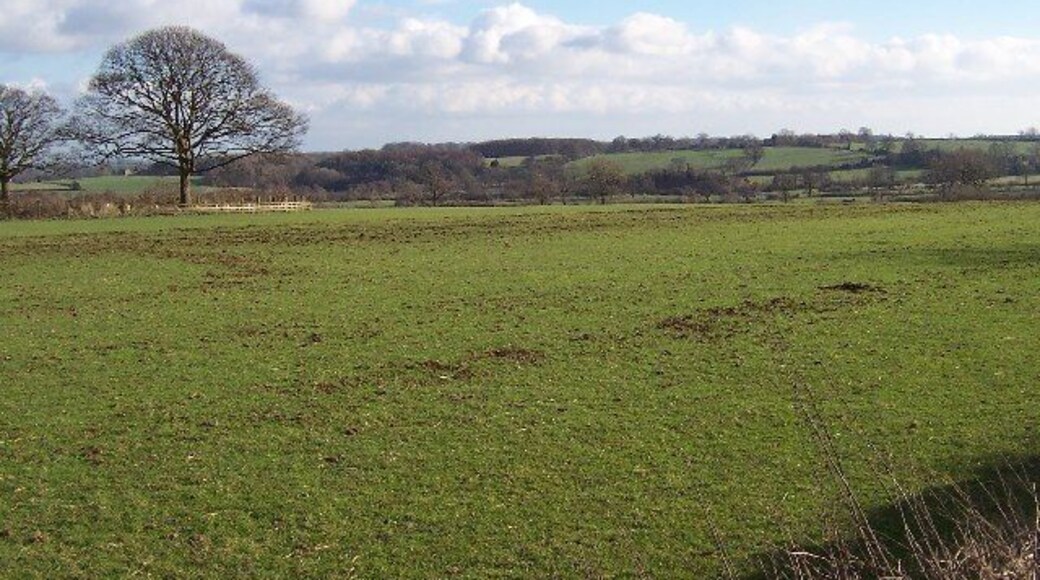 Fields and Countryside south east of Raventofts. This was taken from Raventofts Head and looks over a procession of flat fields and countryside