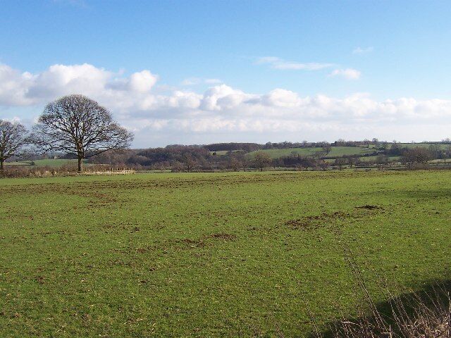 A grassy field with a large tree and a fence in the distance.