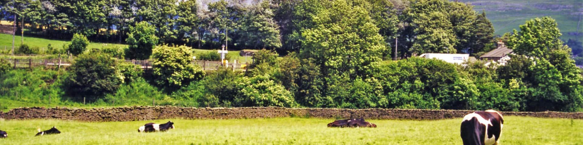 Giggleswick: NE view to station from Paley Green Lane. The station - still open! - is on the ex-Midland main line from (Leeds etc.)- Hellifield (Settle Junction)(to right) - (to left) Clapham - Carnforth. On the right is Fountains Fell (2,191 ft.).