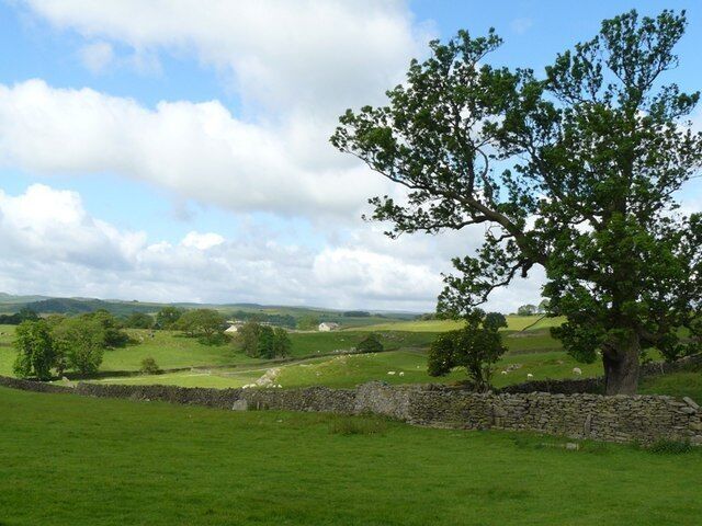 A rural landscape with a stone wall, a large tree, and rolling green fields.