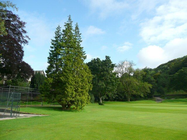 Un campo de golf con un gran árbol de hoja perenne, césped cuidado y cielo despejado.