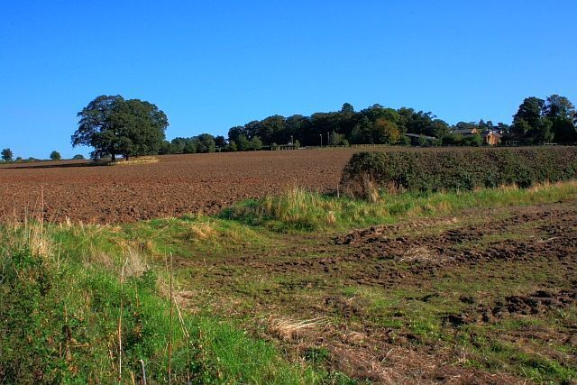 Field With Copse, Near Fagdale Hall Fagdale Hall Farm is hidden within the trees far right. Taken from the Public Footpath from Black Horse Lane.
