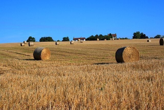 Field Near Beliack Plantation Taken from just outside the square on the Public Footpath from Black Horse Lane to Fowgill Lane. The houses in the distance on on Parson Back Lane.