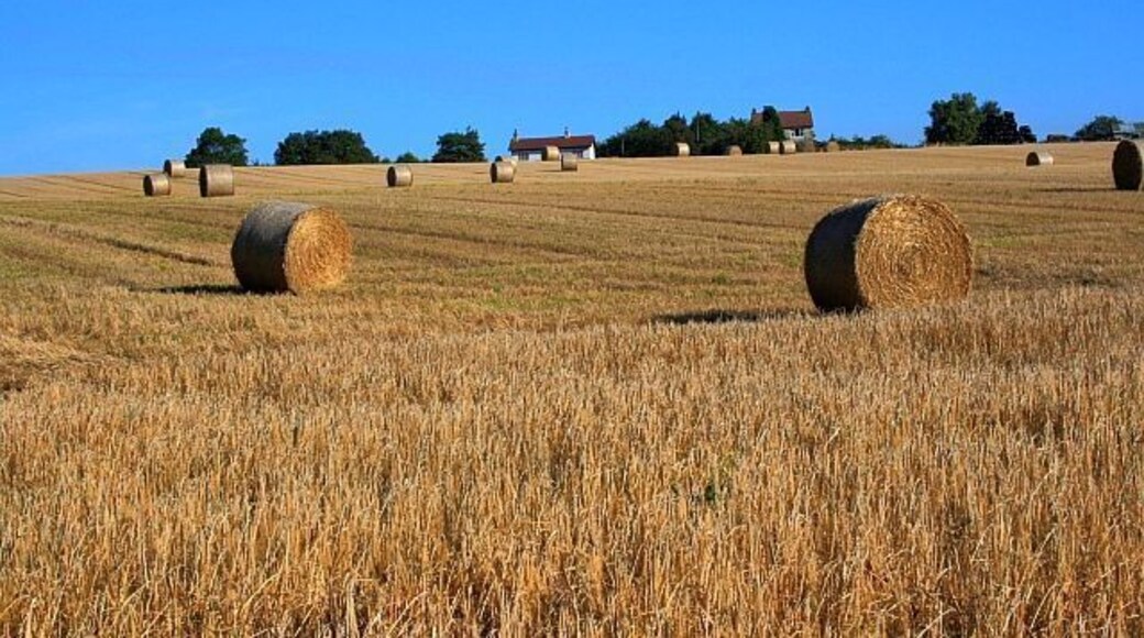 Field Near Beliack Plantation Taken from just outside the square on the Public Footpath from Black Horse Lane to Fowgill Lane. The houses in the distance on on Parson Back Lane.