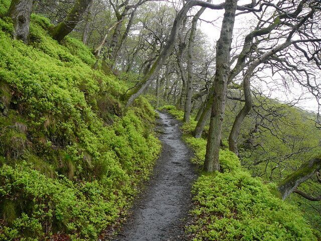 Footpath in Hack Fall Wood