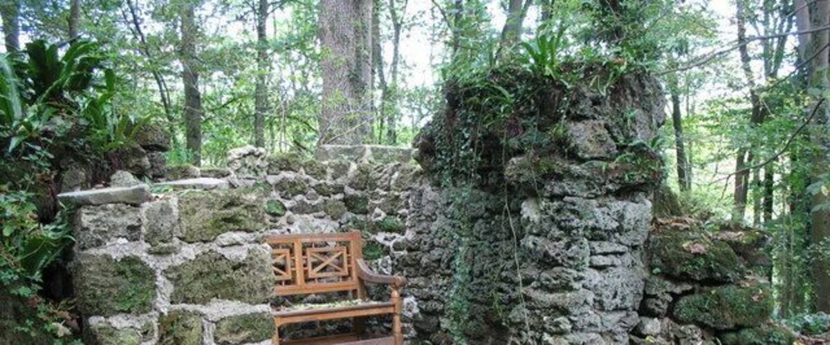 A stone wall with a wooden bench in a forested area.