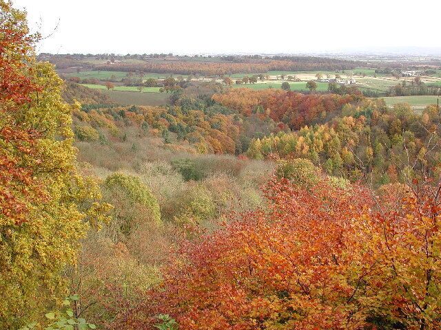 The Ure Valley from Mowbray Point. Looking NE from Mowbray Point, the path of the hidden River Ure can be discerned in the trees of Hackfall Wood below. Beyond, the Vale of York.