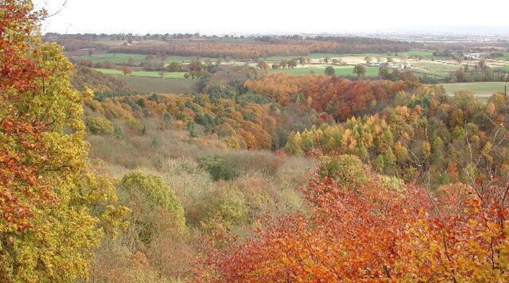 The Ure Valley from Mowbray Point. Looking NE from Mowbray Point, the path of the hidden River Ure can be discerned in the trees of Hackfall Wood below. Beyond, the Vale of York.