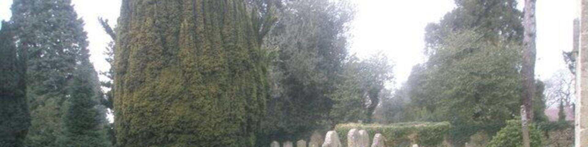 All Saints Churchyard (3)