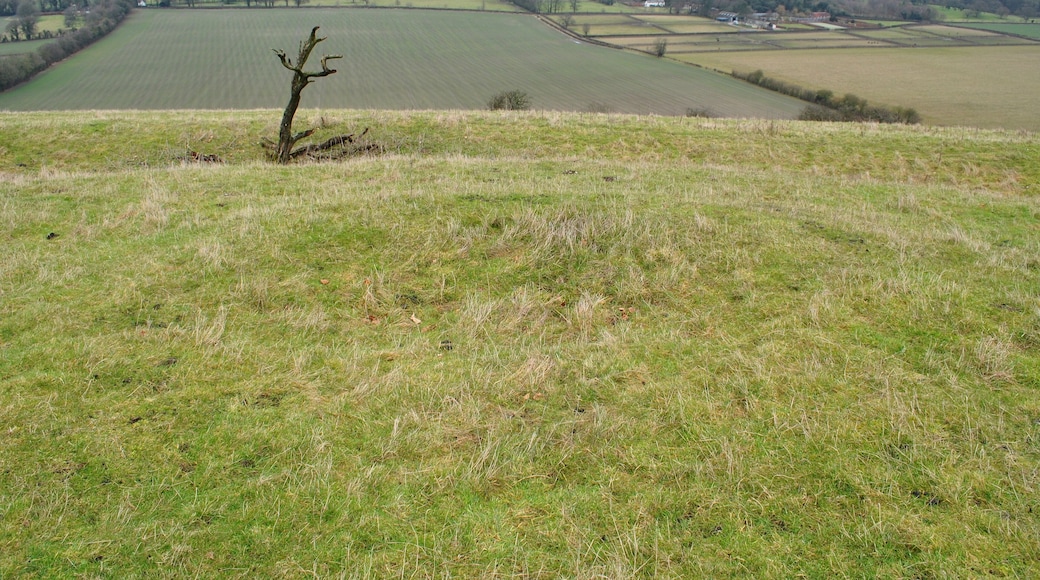 Ladle Hill Barrow
