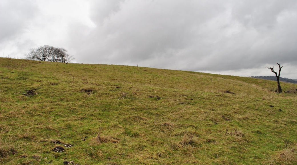 Ladle Hill Barrow