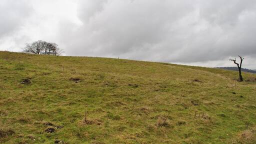 Ladle Hill Barrow